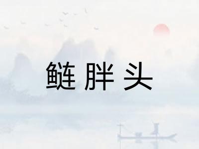 鲢胖头 鲢胖头