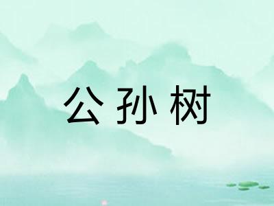 公孙树