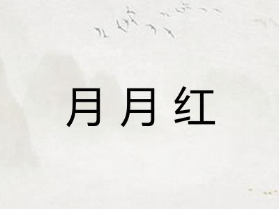 月月红 月月红