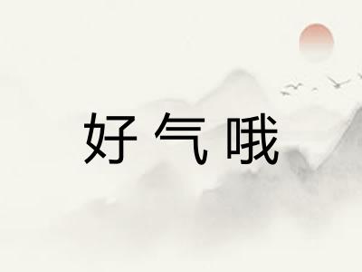 好气哦