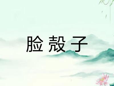 脸殻子 脸殻子