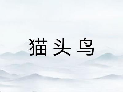 猫头鸟 猫头鸟