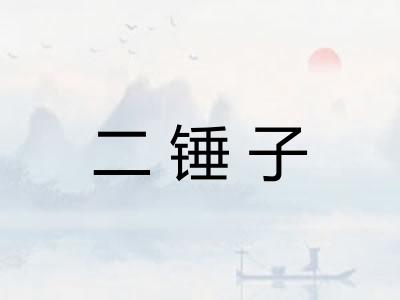 二锤子 二锤子