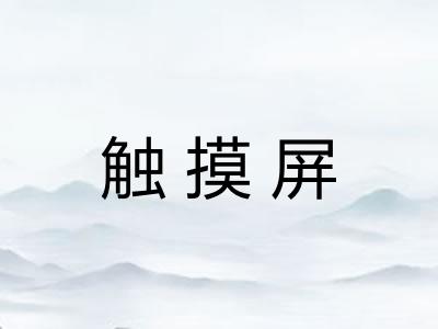 触摸屏 触摸屏