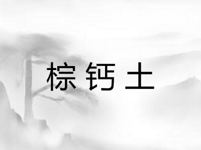 棕钙土 棕钙土