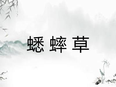蟋蟀草 蟋蟀草