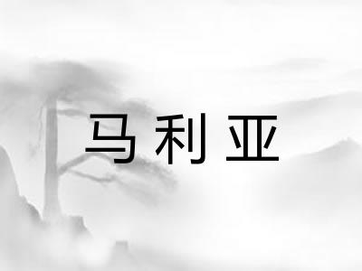 马利亚 马利亚