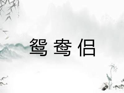 鸳鸯侣