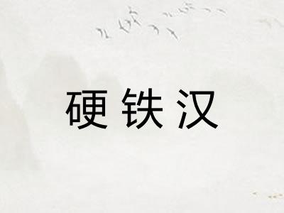 硬铁汉 硬铁汉