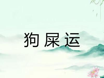 狗屎运