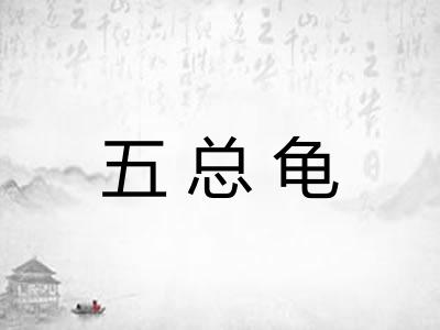 五总龟