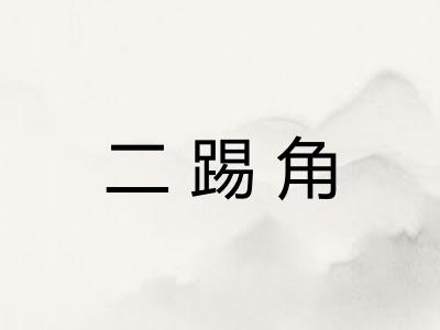 二踢角