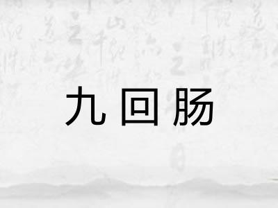 九回肠 九回肠