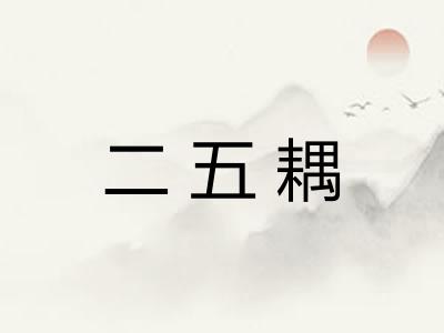 二五耦