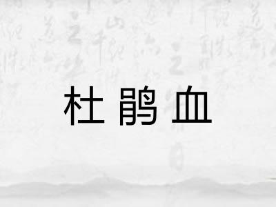杜鹃血 杜鹃血