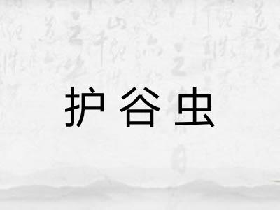 护谷虫 护谷虫