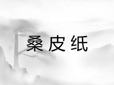 桑皮纸 桑皮纸