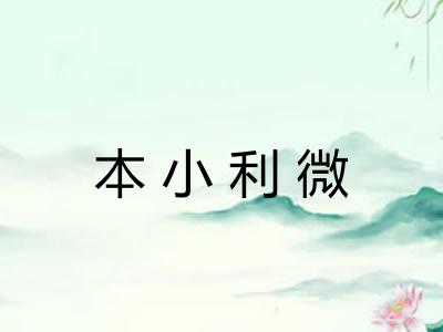 本小利微