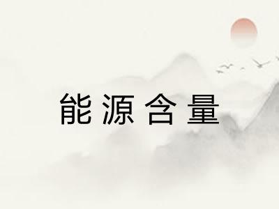 能源含量