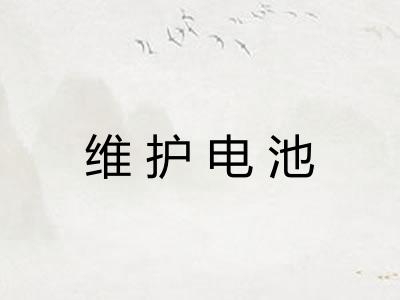 维护电池 维护电池
