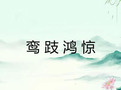 鸾跂鸿惊