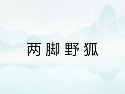 两脚野狐 两脚野狐