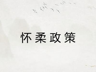 怀柔政策 怀柔政策