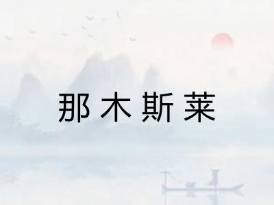 那木斯莱 那木斯莱