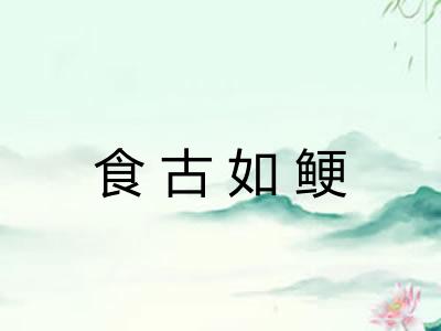 食古如鲠