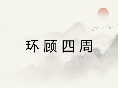 环顾四周