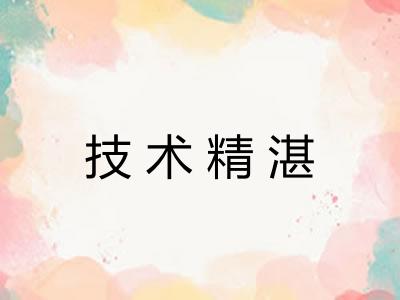 技术精湛 技术精湛