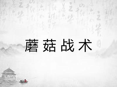 蘑菇战术