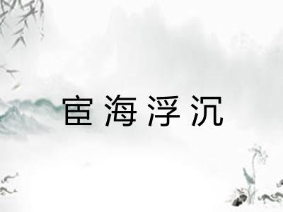 宦海浮沉 宦海浮沉
