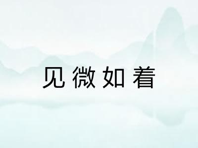 见微如着