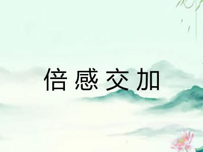 倍感交加