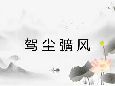 驾尘彍风