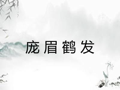 庞眉鹤发