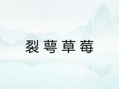 裂萼草莓