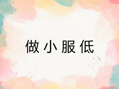 做小服低