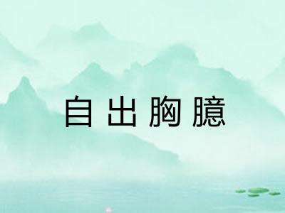 自出胸臆
