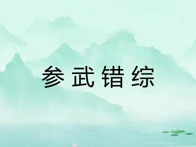 参武错综