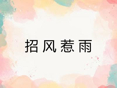 招风惹雨 招风惹雨