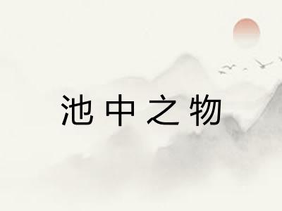 池中之物 池中之物