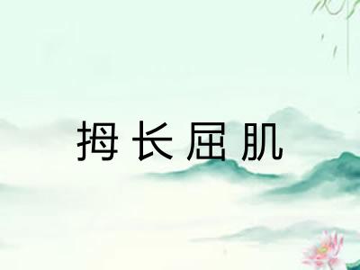 拇长屈肌 拇长屈肌