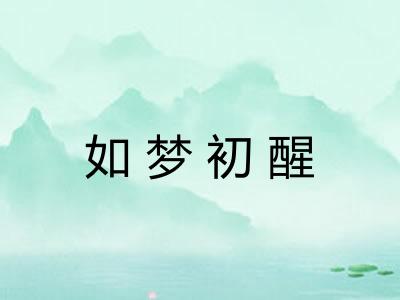 如梦初醒