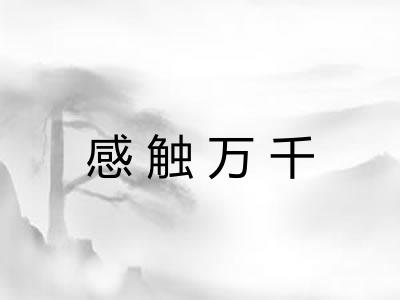 感触万千