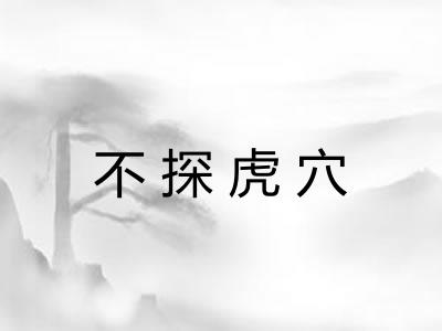不探虎穴