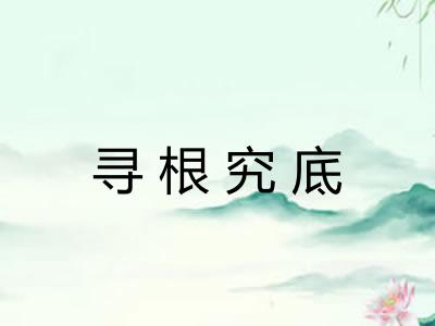 寻根究底 寻根究底