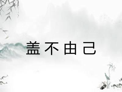 盖不由己 盖不由己