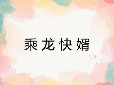 乘龙快婿 乘龙快婿